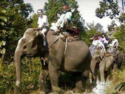 Thailand elephant ride